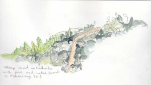 Steep road on hillside with pine and native forest, 13 February 2013