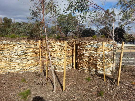 Newspaper sculpture using two years worth of old Canberra Times newspapers