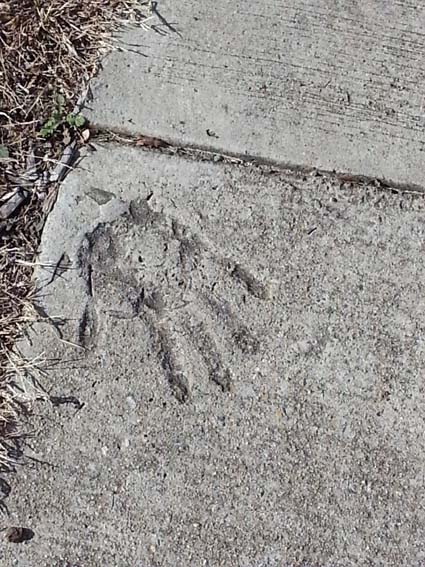 One of humanity's lasting symbols