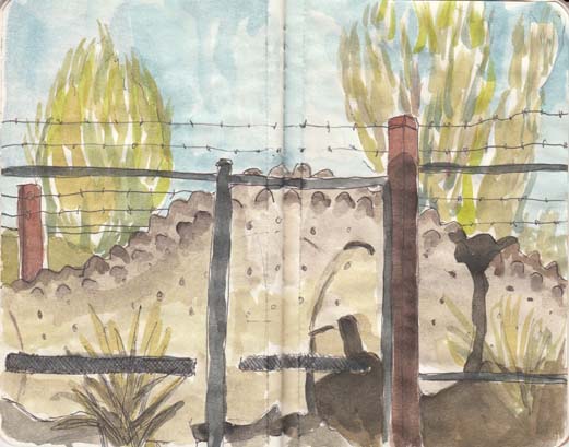 Our local dinosaur safely behind barbed wire, 26 June 2013