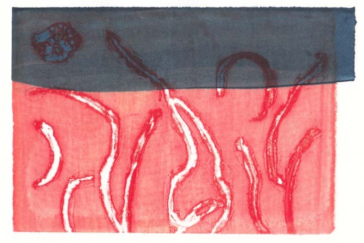 Screen print using dyes, 26 July 2013