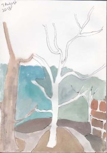 Cafe Wednesday 7 August 2013