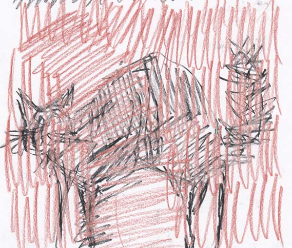 Cat drawn in charcoal over a Lyra pencil background.