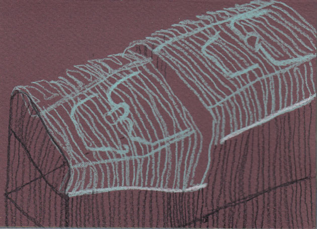 Plant protector made from the tops of two birdcages, 18 January 2014.