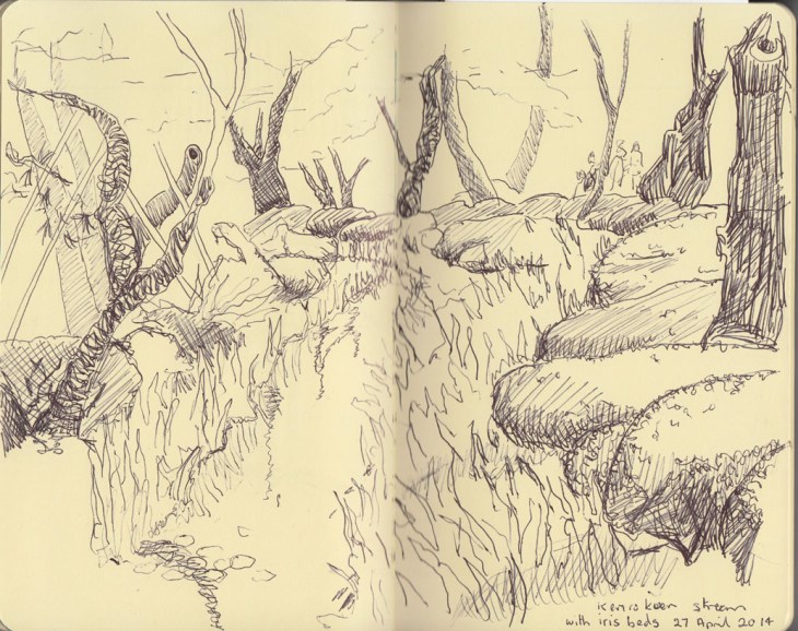 Kenroku-en, stream with iris and azaleas, 27 April 2014