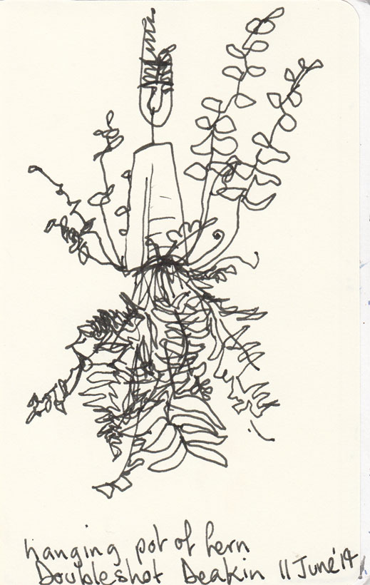 An upside down hanging pot, pen and ink, 11 June 2014.