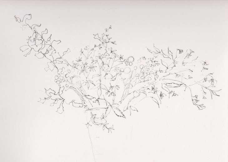 Initial ink sketch with Copic Multiliner, 29 December 2014