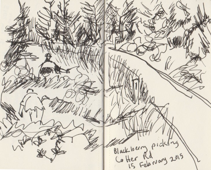 In amongst the blackberries, 15 February 2015, pen and ink