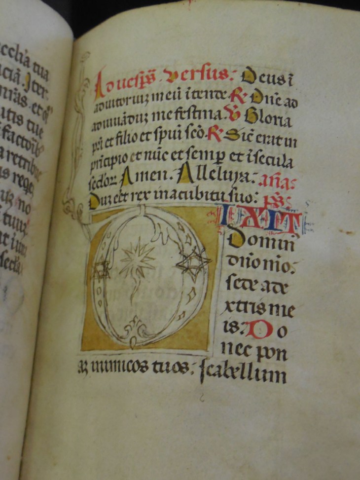 An unfinished ornamental capital, Mantua, 15th cent.