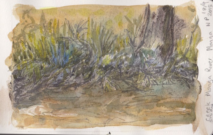 Bank of the Mongarlowe River, Monga National Park, graphite and watercolour, 18 September 2015