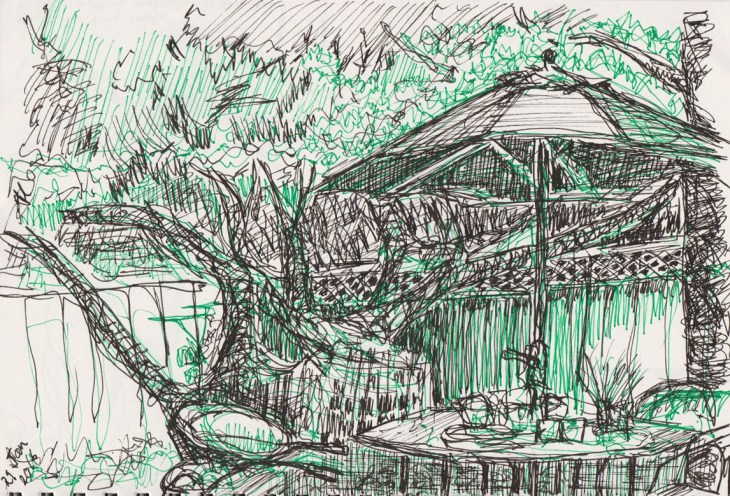 Backyard, green fineline pen and ink, 29 January 2016