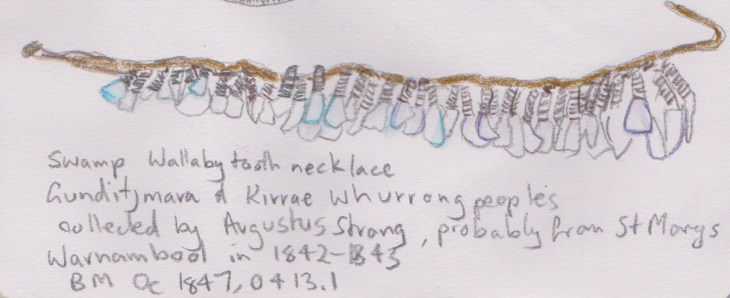 wallabytoothnecklace