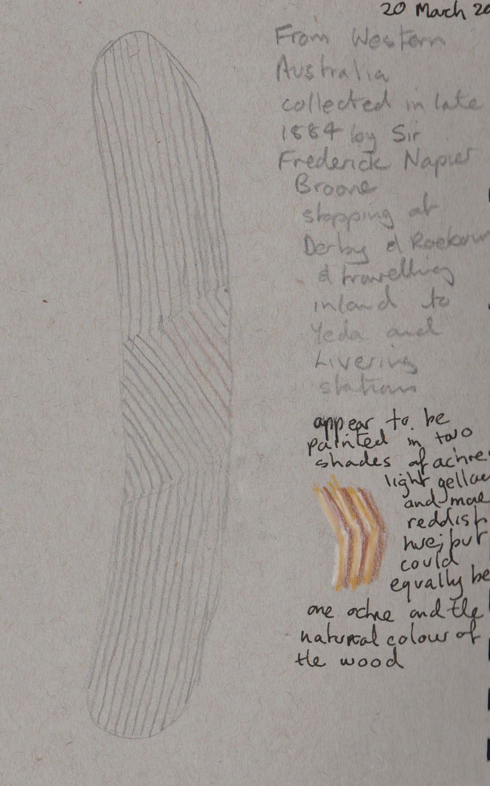 A shield collected from the hinterland near Derby in Western Australia, in late 1884. My sketch graphite on grey tone paper and coloured pencil