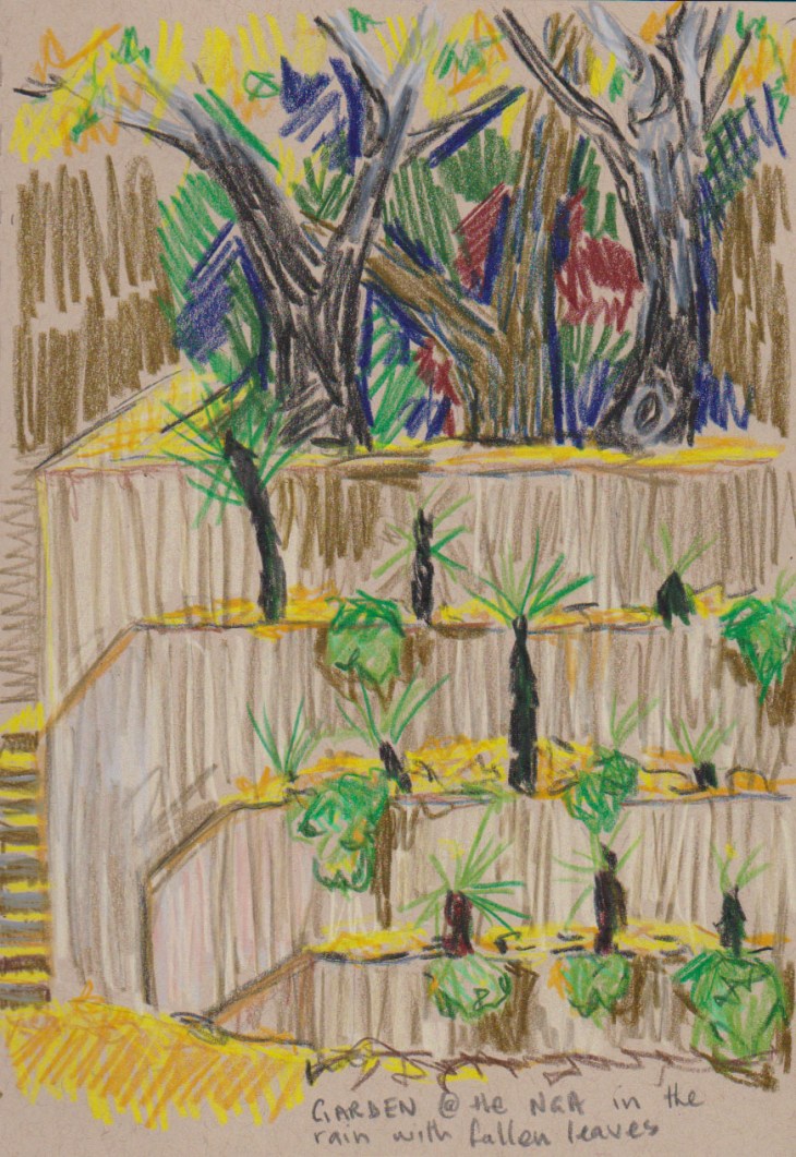 Garden at the National Gallery of Australia, coloured pencil on toned tan paper, 9 May 2016